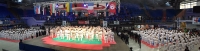 Чемпионат и Кубок Европы по Киокушинкай